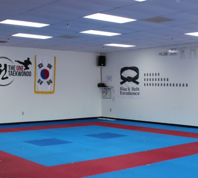 The ONE Taekwondo Center (Woodstock,&nbspGA)